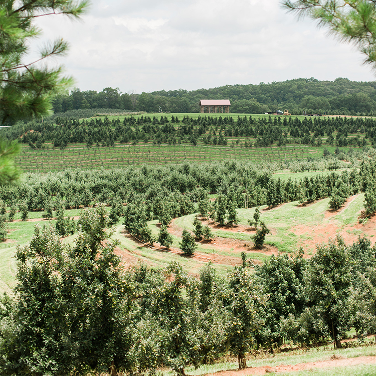 Fall Events at Your Local Certified Farm Market